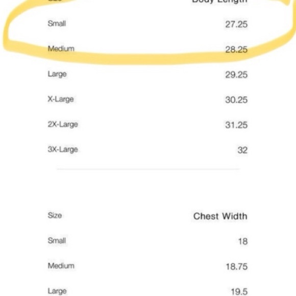 IVY PARK Black and Gold Body Suit - SIZE SMALL - Picture 10 of 10